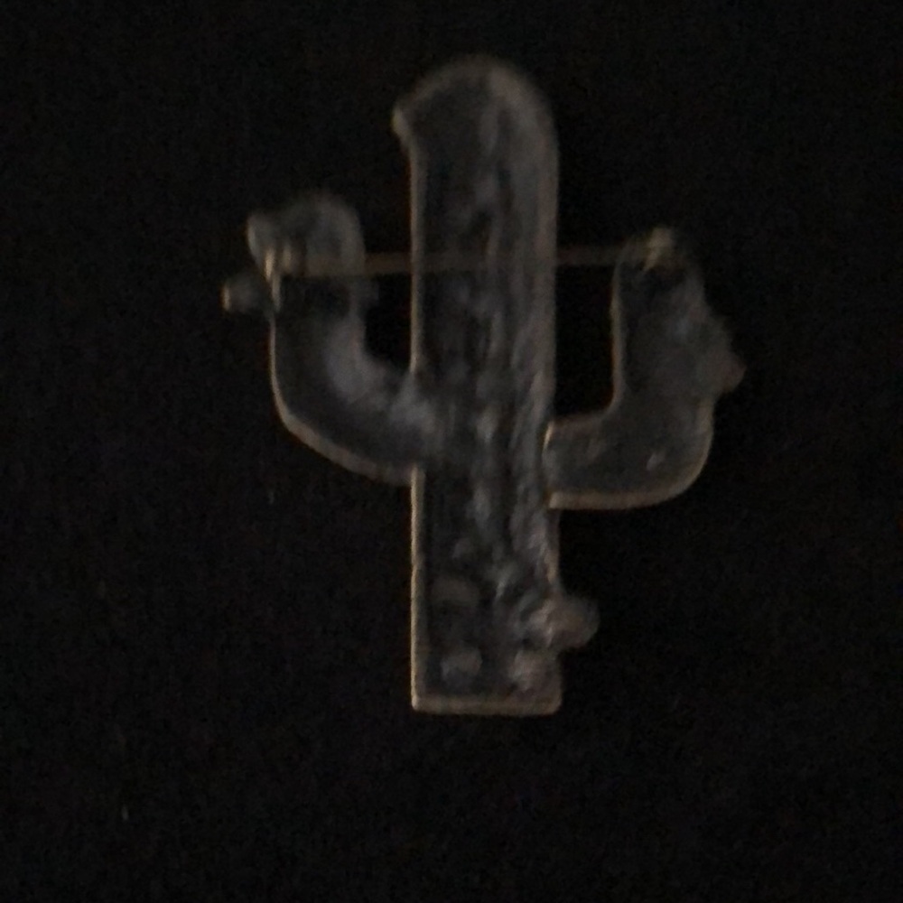 - Beautiful Cactus Broach. - Picture 4 of 6